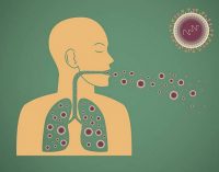 Development of new respiratory syncytial virus vaccine